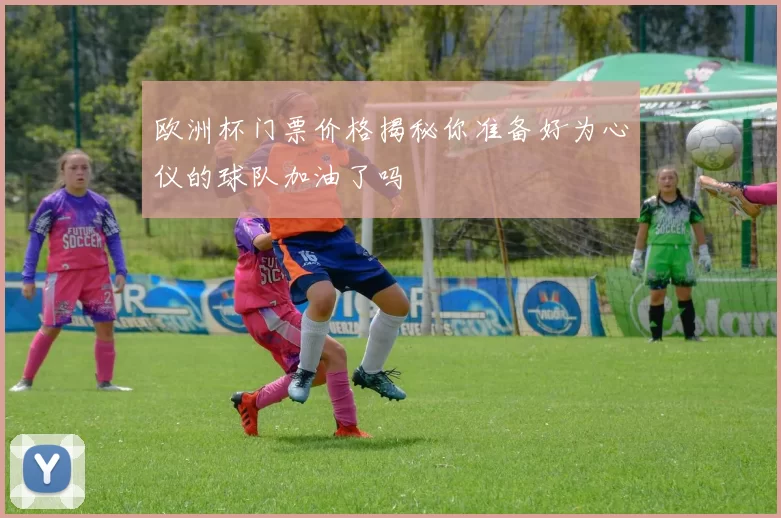 欧洲杯门票价格揭秘你准备好为心仪的球队加油了吗